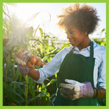 Naturelo, Bone Strength, whole food, multivitamin, Calcium, Vitamin D3, Magnesium, Vitamin C, Zinc