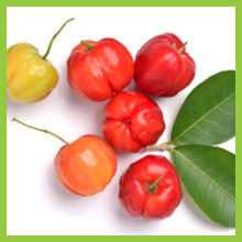 Calcium, Vitamin D3, Magnesium, Vitamin C, Zinc, Magnesium, Vitamin K2, Manganese, Potassium, Boron