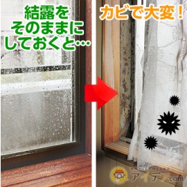 Bio - Mold clean window 