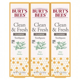 Burts Bees Toothpaste