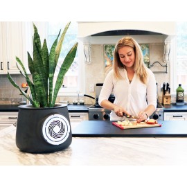 Clairy - Natural Air Purifier