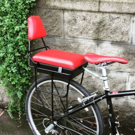 Companion Bike Seat Backrest 