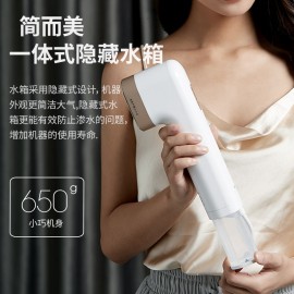 Deti hand held steam iron