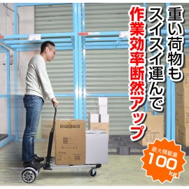 Electric ride on cart dolly