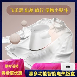 Felix Flexwarm Handheld Steam Mini Iron