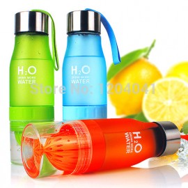 H2O Water Bottle Fruit Infuser Cup
