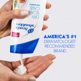 Head and Shoulders Dry Scalp Care Daily Shampoo