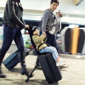 Mountain Buggy Bagrider