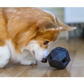 Odin Modular Puzzle Dog Toy