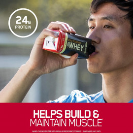 Optimum Nutrition Gold Standard Whey on the go