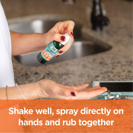 Organic Chix - no more germs Hand Sanitizer 