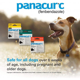 Panacur C Canine Dewormer Dogs