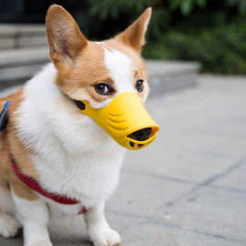 POTATO Dog muzzle 
