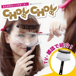 Preface cut supporter Choochoi