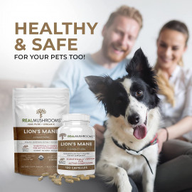 Real Mushrooms Lion's Mane Capsule Supplements