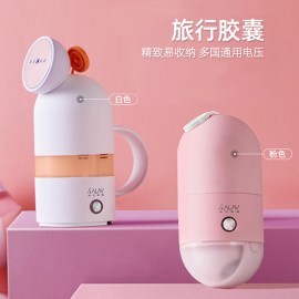 SALAV Travel Capsule Steam Iron