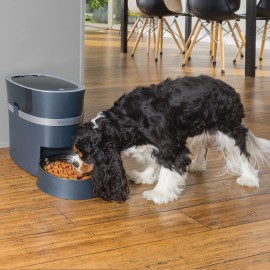 Smart Feed Automatic Pet Feeder