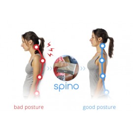 Spino - Healthy Back