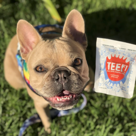TEEF- DAILY DOG DENTAL CARE