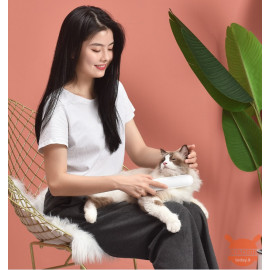Xiaomi CARNO pet sterilization care comb