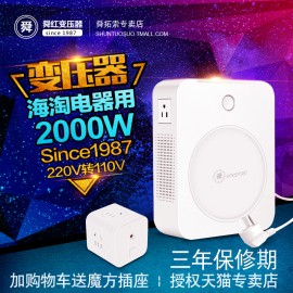 Blush electric voltage converter 