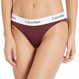Calvin Klein Women's Modern Cotton Bikini Panty