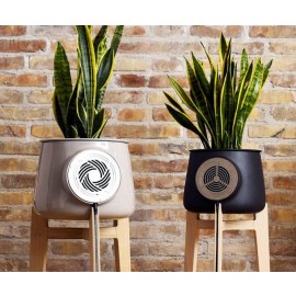 Clairy - Natural Air Purifier