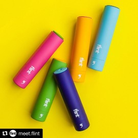 Flint Retractable Lint Roller