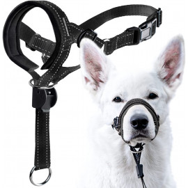 GoodBoy Head Halter