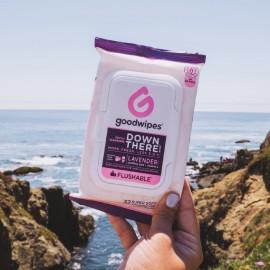 Goodwipes Down There Feminine Flushable Wet Wipes