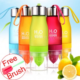H2O Water Bottle Fruit Infuser Cup