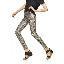 HUE FASHION LEGGINGS