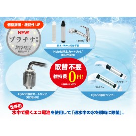 Hybrid water purification cartridge