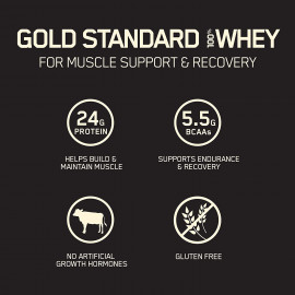 Optimum Nutrition Gold Standard Whey Stick