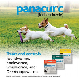 Panacur C Canine Dewormer Dogs