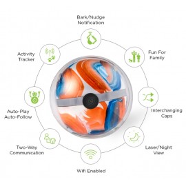 Pebby - Robotic Pet Sitter