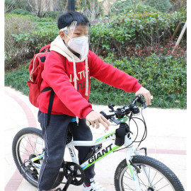 Piao Jin Clear Face Shield Mask