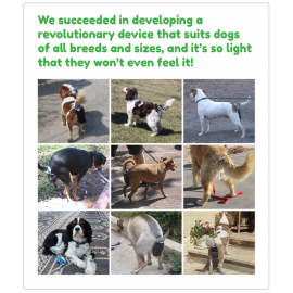 Piqapoo - Collecting dog’s poo