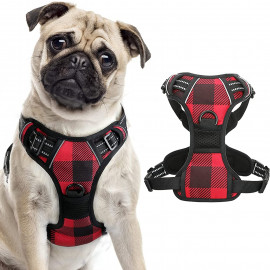rabbitgoo Dog Harness