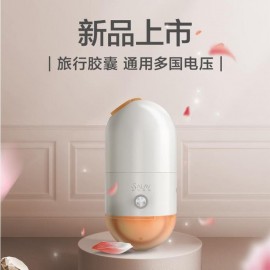 SALAV Travel Capsule Steam Iron