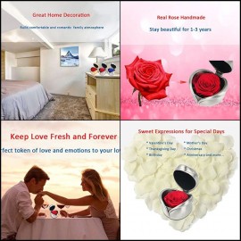 Smiley Handmade Preserved Flower Rose