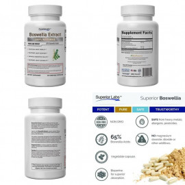 Superior Labs Boswellia Extract